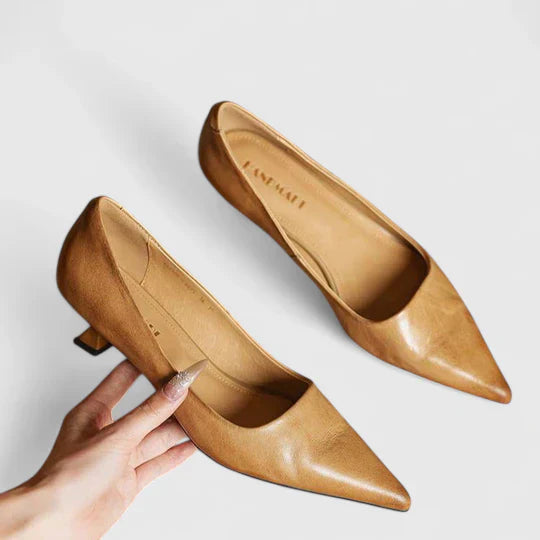 Lily | Womens Pointed Toe Low Heel Pumps Shorts