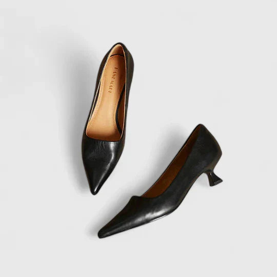 Lily | Womens Pointed Toe Low Heel Pumps Shorts