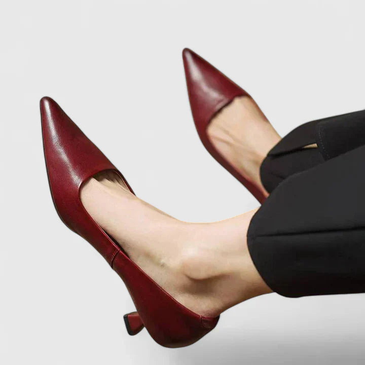 Lily | Womens Pointed Toe Low Heel Pumps Shorts